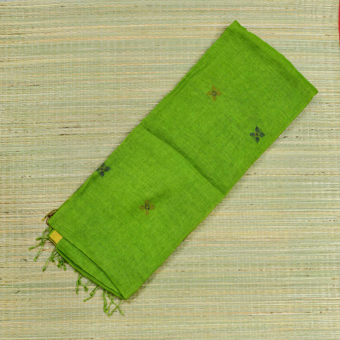 Jayshree lenin by Jayshree Lenin saree