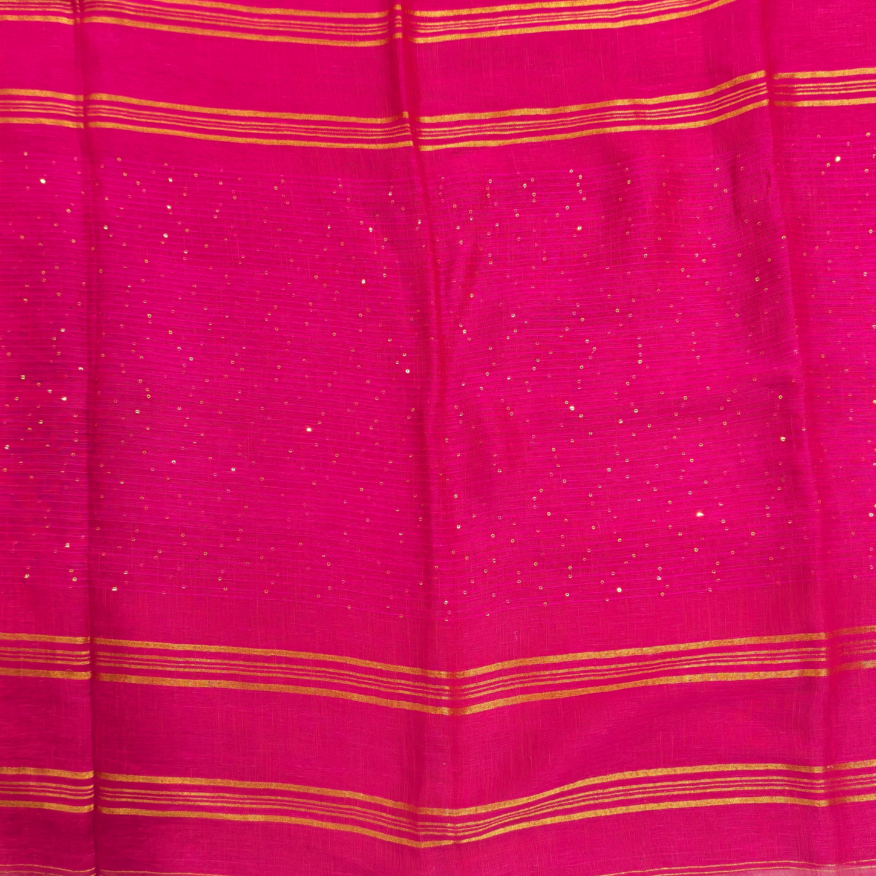 Lenin by Lenin sequence saree
