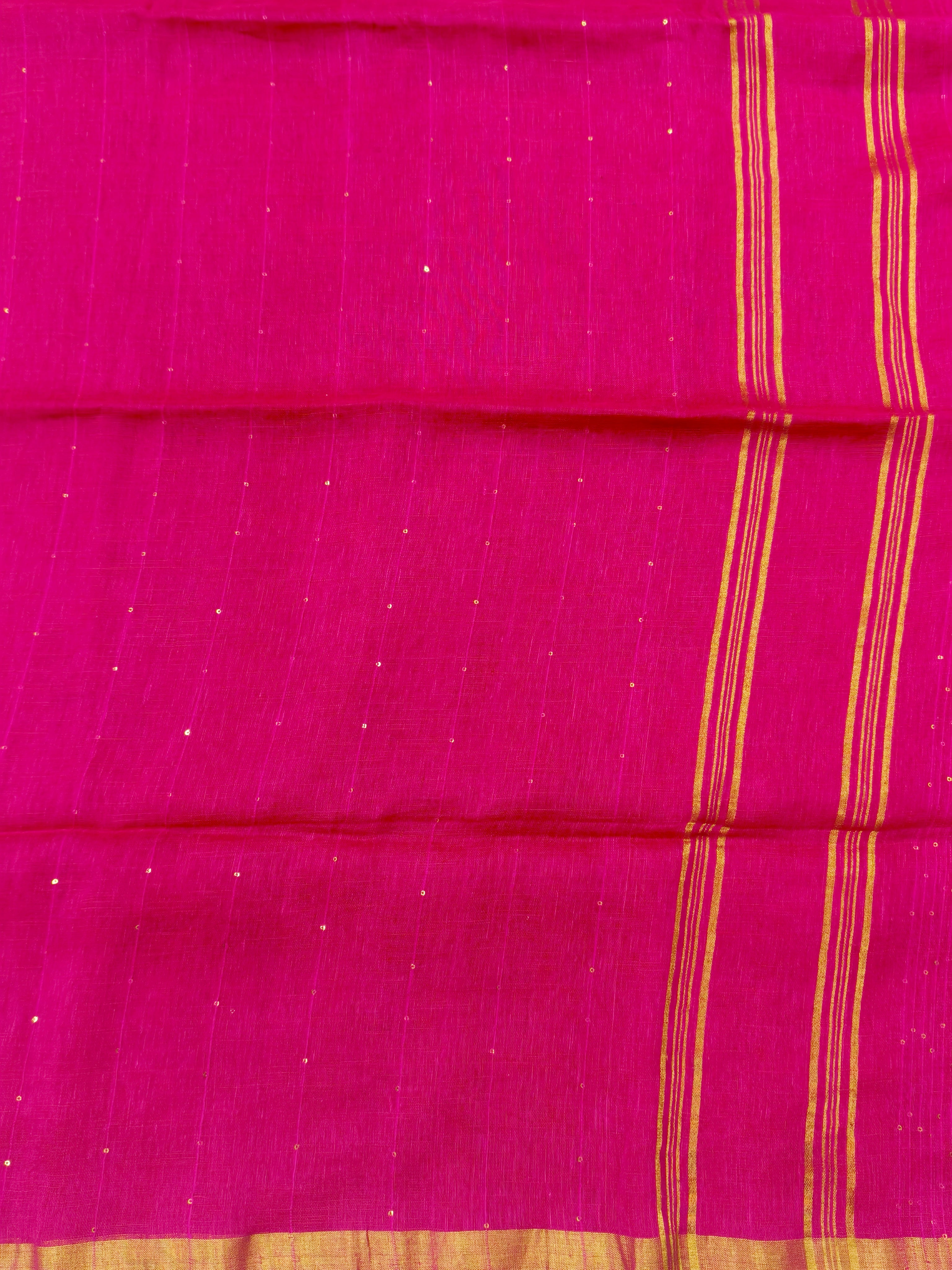 Lenin by Lenin sequence saree