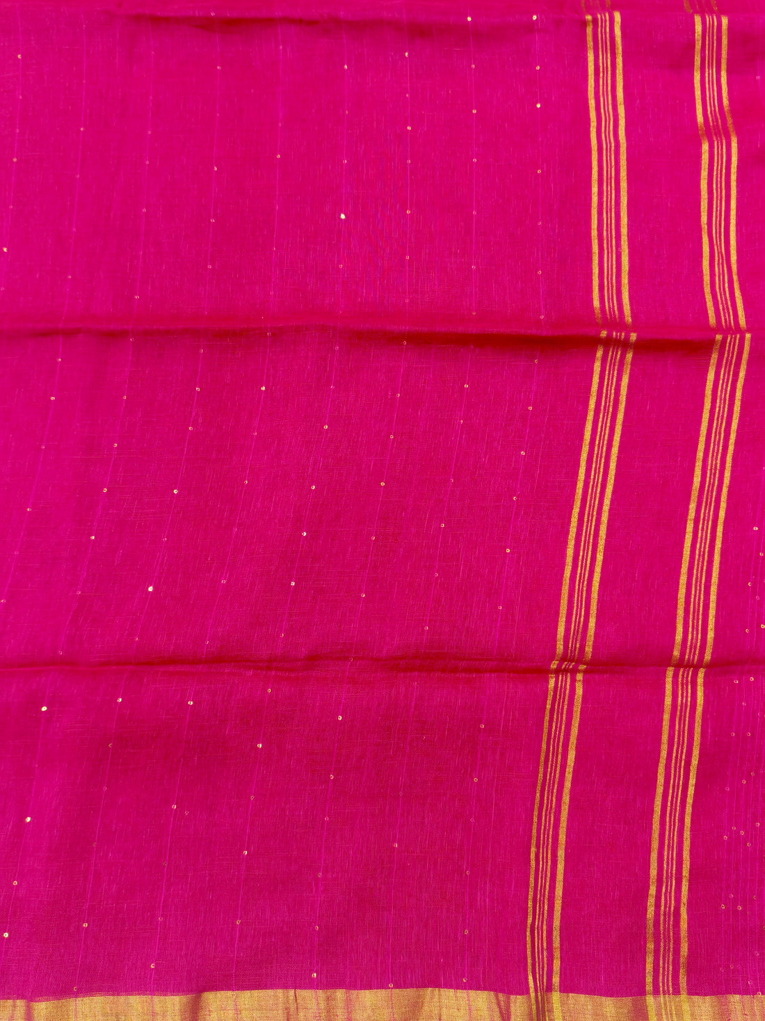 Lenin by Lenin sequence saree