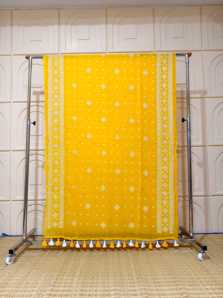 Premium Mul cotton saree with chikankari and foil work